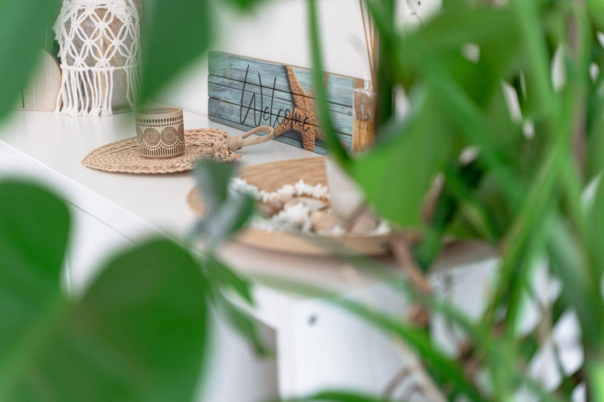 Vakantiehuisje Zoutelande Εξωτερικό φωτογραφία